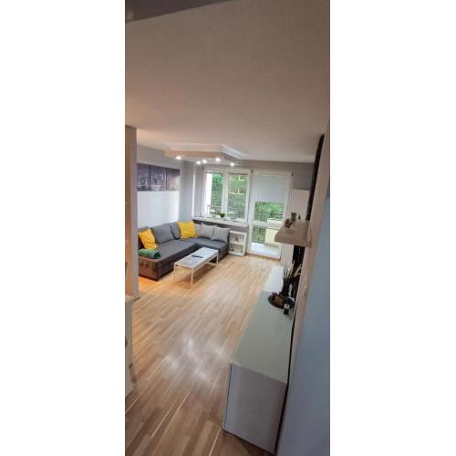 Apartament Olsza