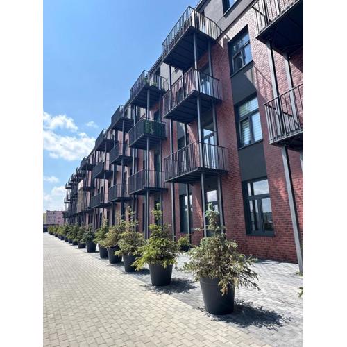 Apartament OPAL2 Mickiewicza