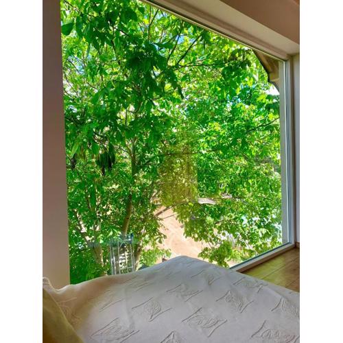 Apartament orzechowy superior
