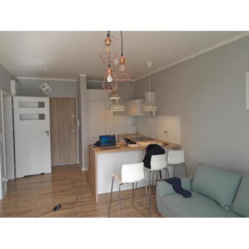 Apartament Panoramiczna \