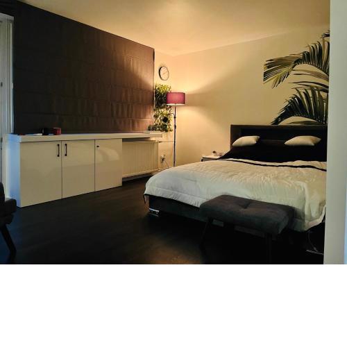 Apartament Pańska 5