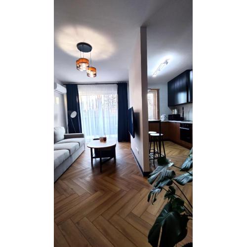 Apartament Park Chorzów, FV, bezpłatny parking, klimatyzacja