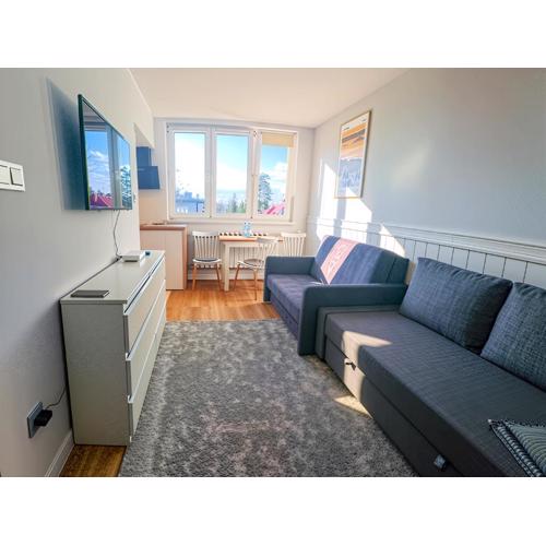 Apartament Parkowy Rabka