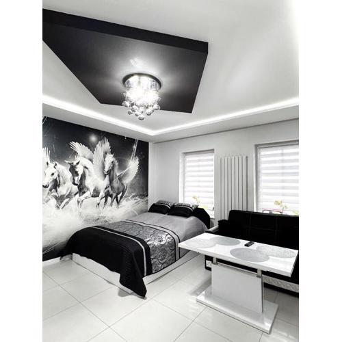 Apartament Pegaz