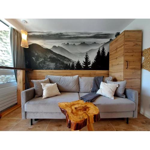 Apartament Piętnastka Ustroń