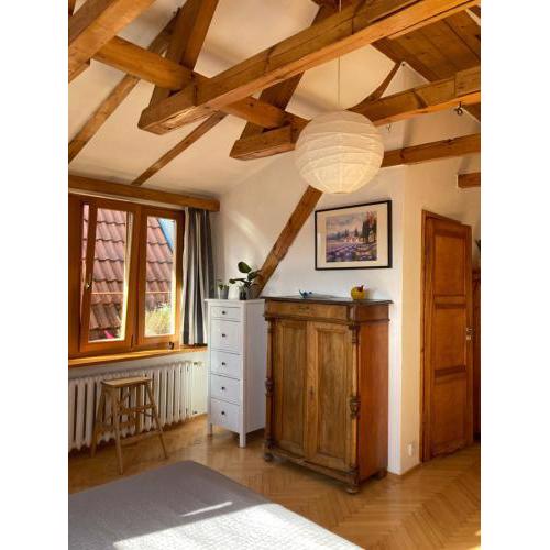 Apartament Piwna