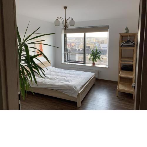 Apartament Plac Kaszubski
