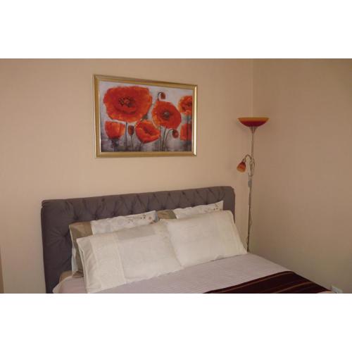 Apartament Planty