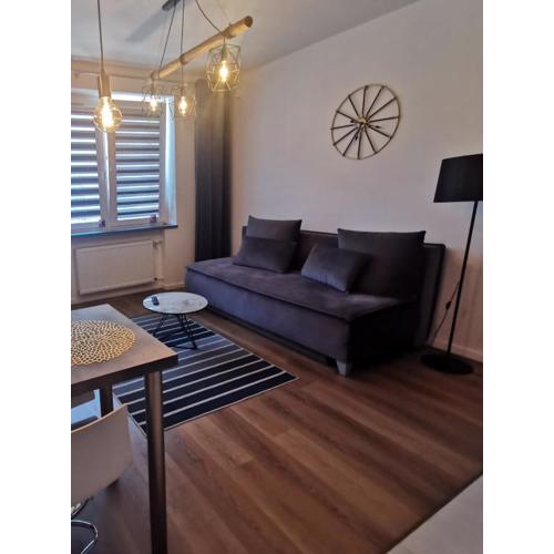 Apartament Platynowy w Centrum Miasta
