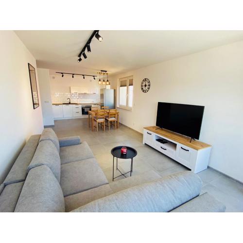 Apartament Pocztowa 44