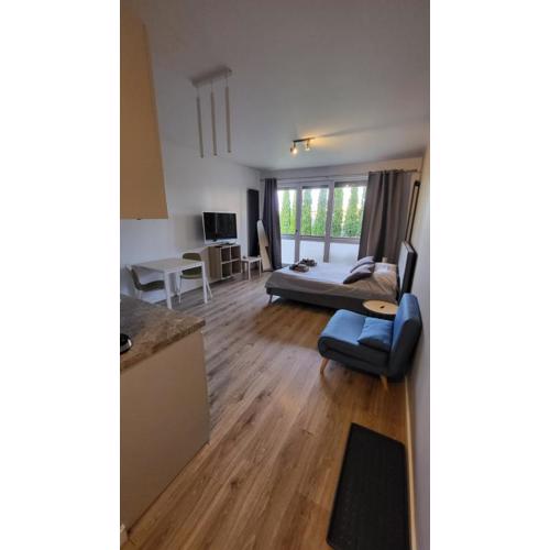 Apartament pod Dębowcem - Starzyńskiego Valley