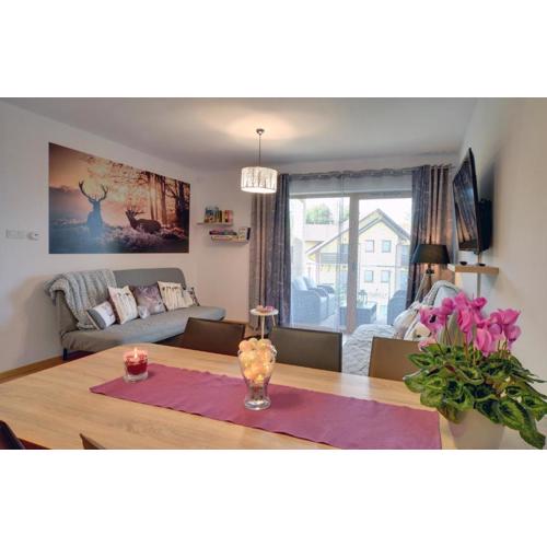Apartament Pod Jeleniem