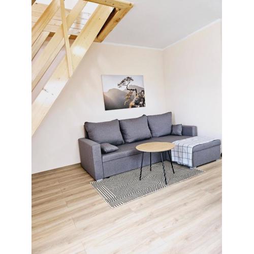 Apartament pod laskiem