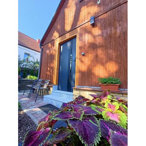 Apartament pod lipami