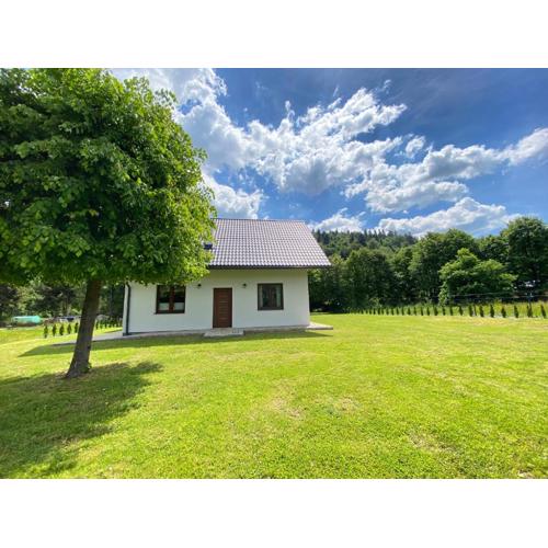 Apartament pod lipką