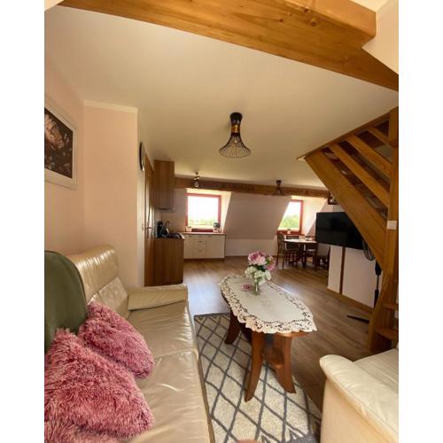 Apartament Pod Ostryszem