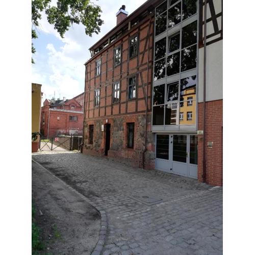 Apartament pod Starym Dębem