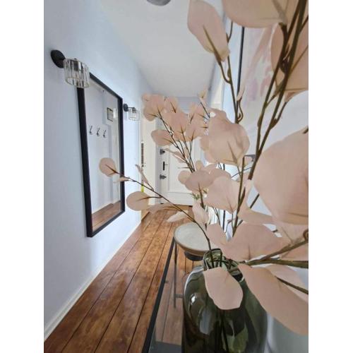 Apartament Potulicka
