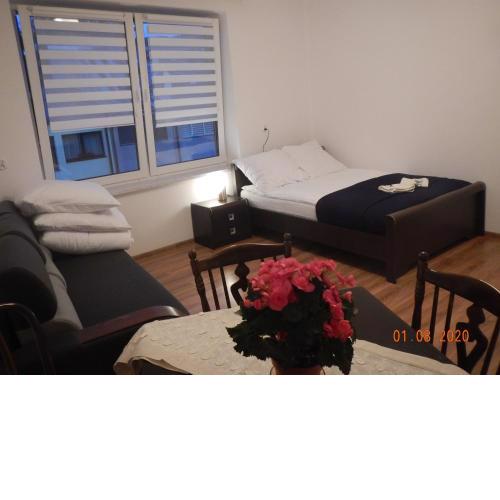 Apartament Providentia Zakopane Witkiewicza 3