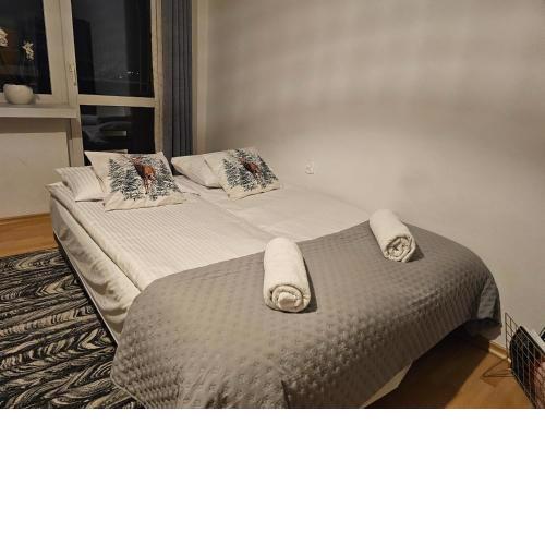 Apartament przy Krupówkach Szarotka