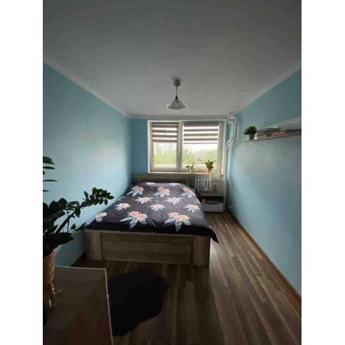Apartament przy Parku Śląskim
