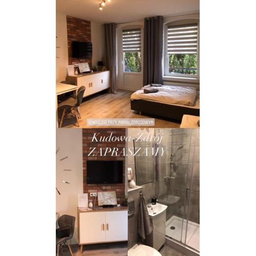 Apartament przy Parku Zdrojowym
