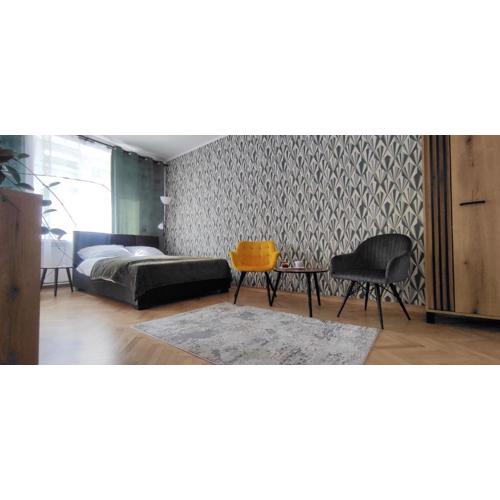 Apartament przy Parku