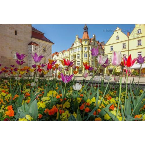 Apartament Przy Starówce - Hampton