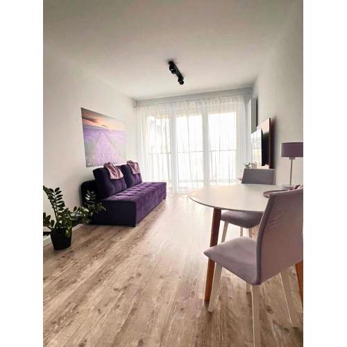 Apartament PURPLE
