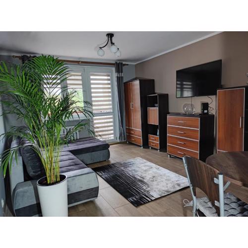 Apartament Raven