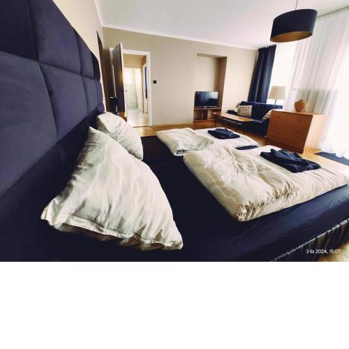 Apartament Reymonta
