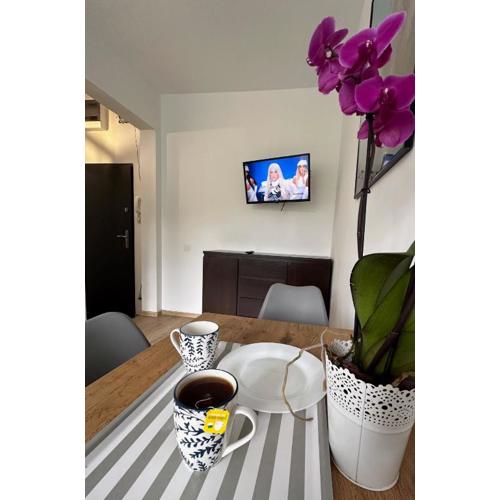 Apartament Rodzinny L7