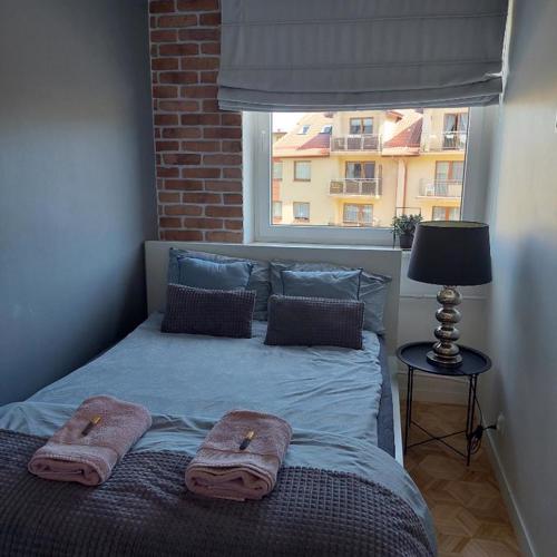 Apartament Rodzinny Przy AquaParku