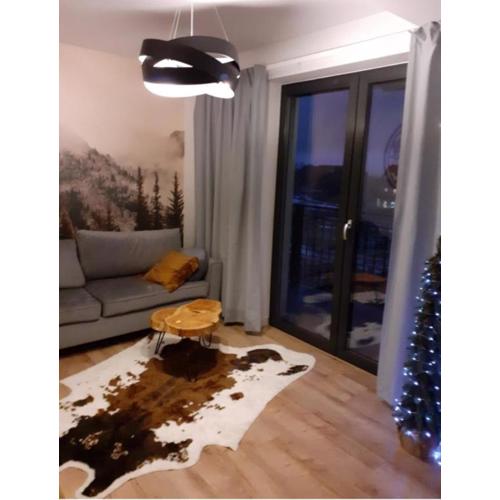 Apartament Ruczaj