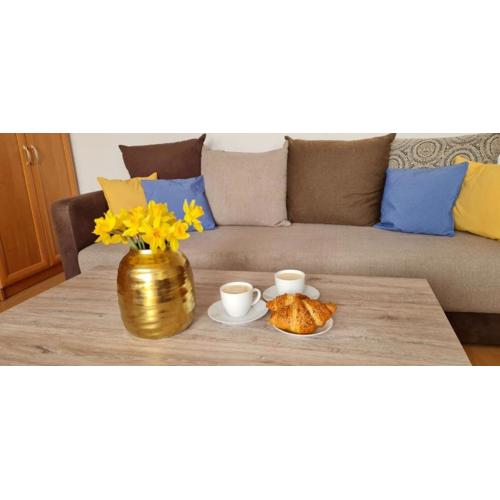 Apartament rustykalny