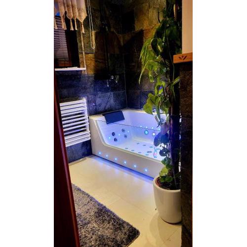 Apartament Rykowisko
