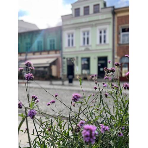 Apartament Rynek 17