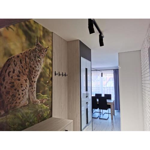 Apartament Ryś