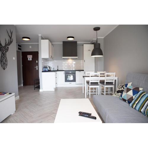 Apartament Scandic