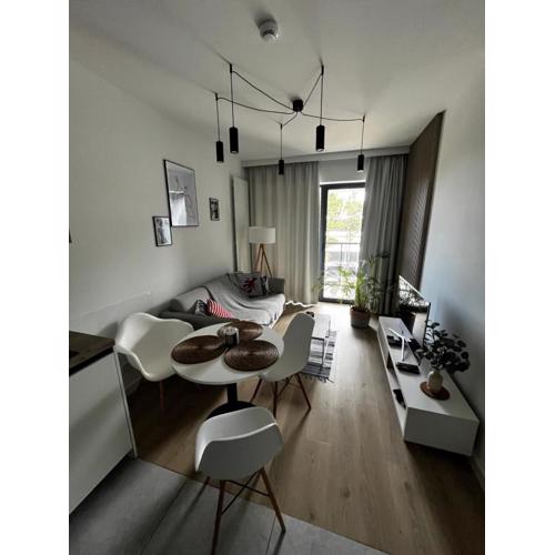 Apartament Seaview Rogowo Shellter 117Ł