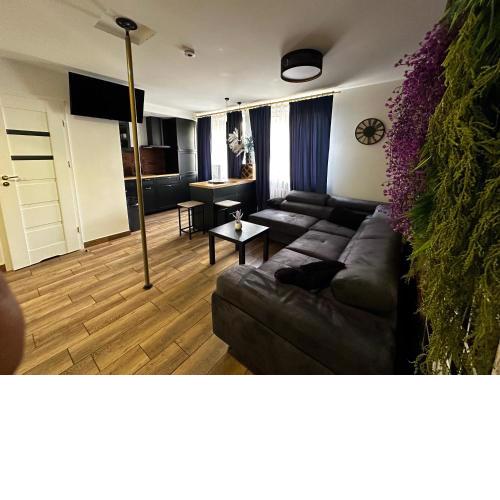 Apartament Sienkiewicza