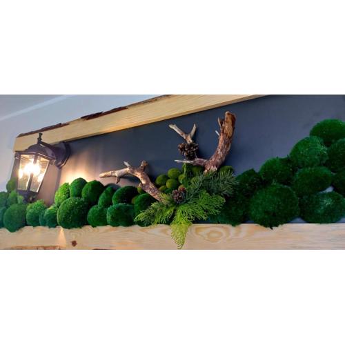 Apartament Sildatk