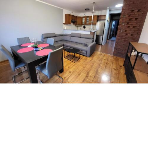 Apartament Skarbka