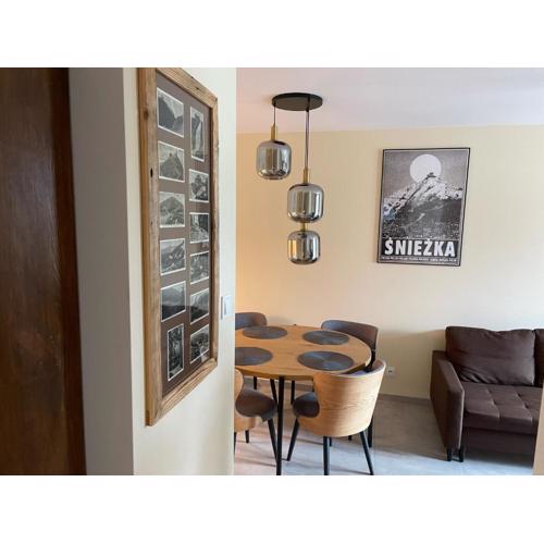 Apartament Ski and Chill