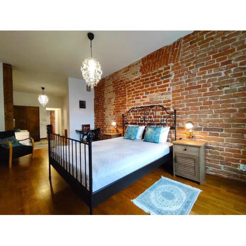 Apartament Skorpion Centrum