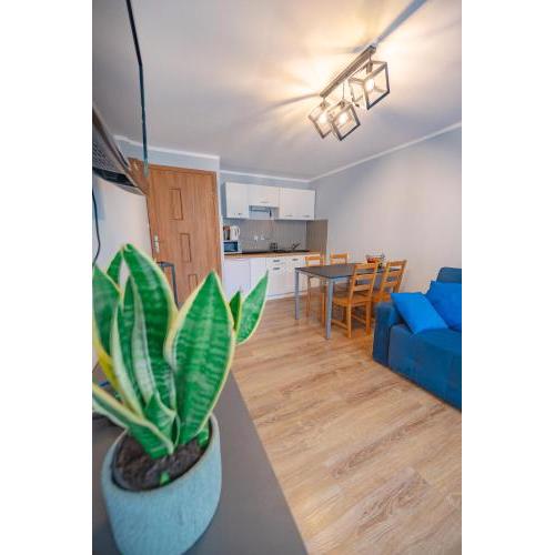 Apartament Słoneczna Centrum
