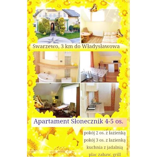 Apartament SŁONECZNIK