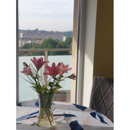 Apartament Słoneczny blisko Centrum Gdańska