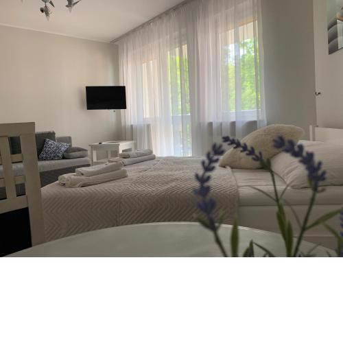 Apartament Sloneczny