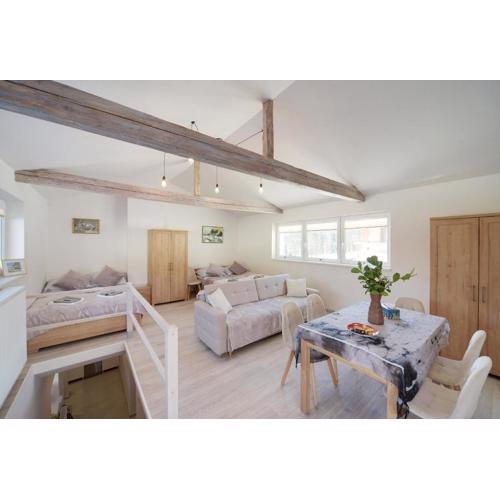 Apartament Sniezna Polana - 2-pietrowy apartament idealny dla duzej rodziny!